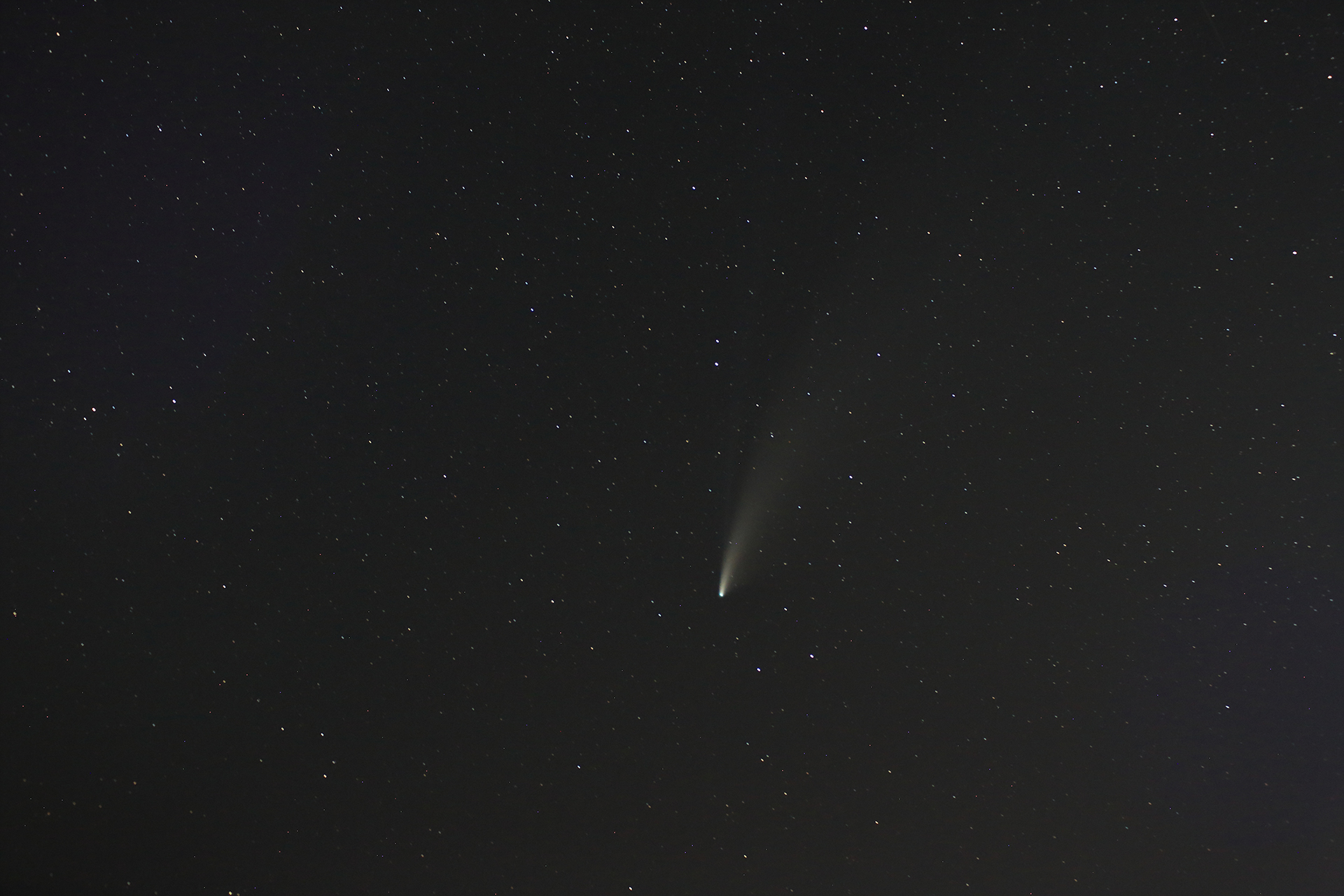 ネオワイズ彗星02