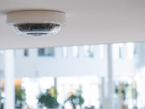 AXIS P3727-PLE Panoramic Camera, mounted in the ceiling in an indoor environment