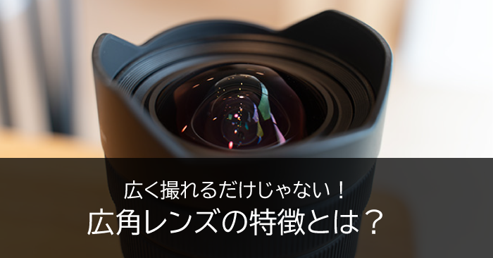 広く撮れるだけじゃない!広角レンズの特徴とは?
