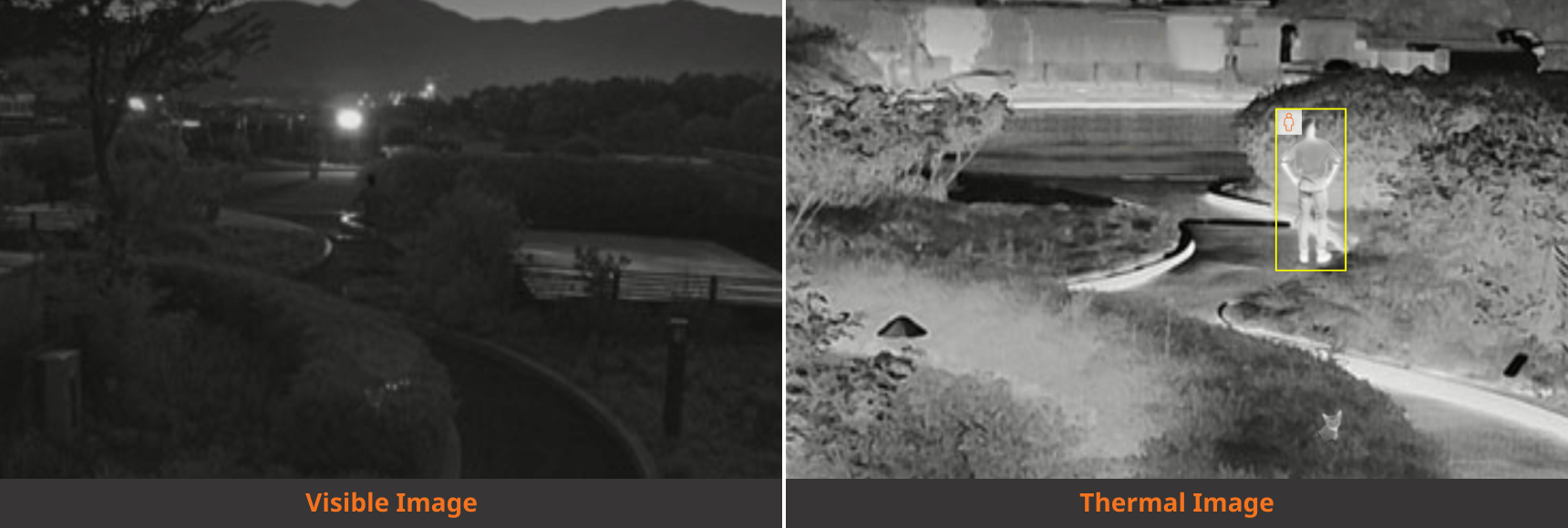 AI搭載サーマルイメージングで監視精度を向上