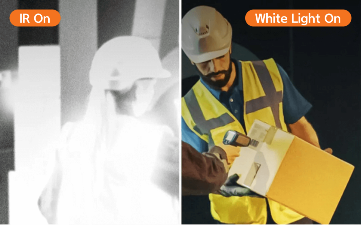 違いを見てください